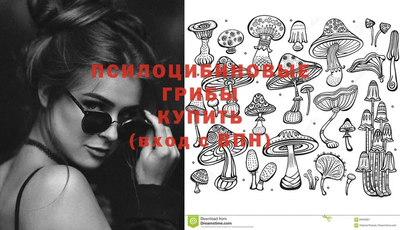 Псилоцибиновые грибы Magic Shrooms  Ивангород 